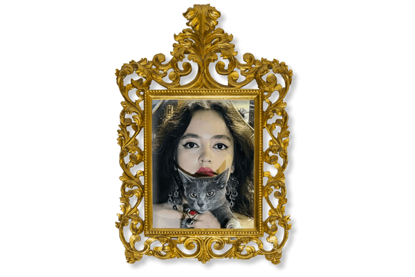 la hechicera y su blog encantado